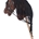 Caballo Hobby Horsing HKM Sports Equipment marrón oscuro - Imagen 2