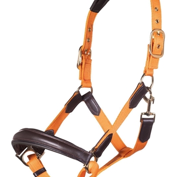 Cabezada cuadra con ramal HKM Sports Equipment  Marrakesh color naranja - Imagen 1