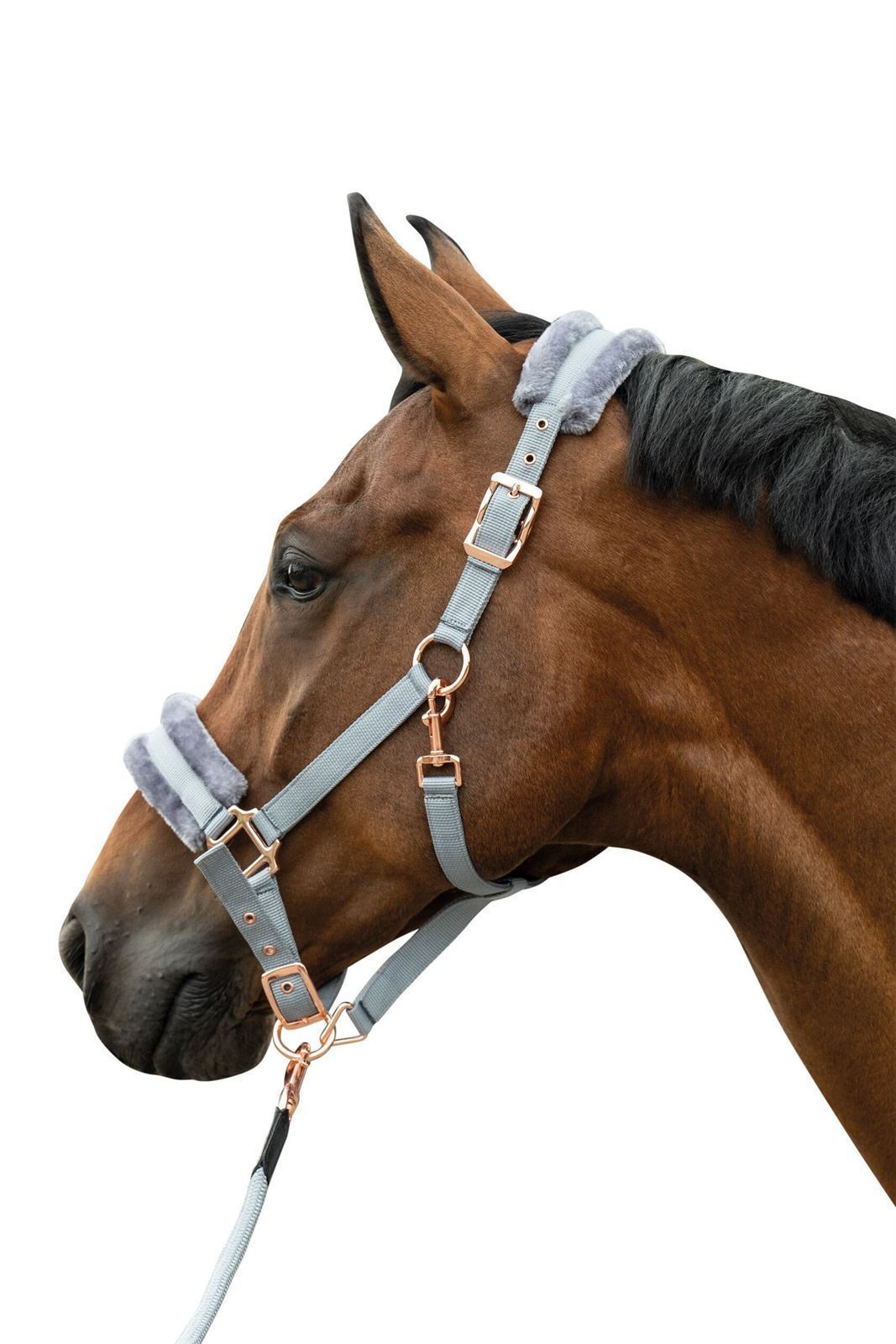 Cabezada cuadra con ramal HKM Sports Equipment Rosegold Glamour color gris/rosegold TALLA PONY - Imagen 3