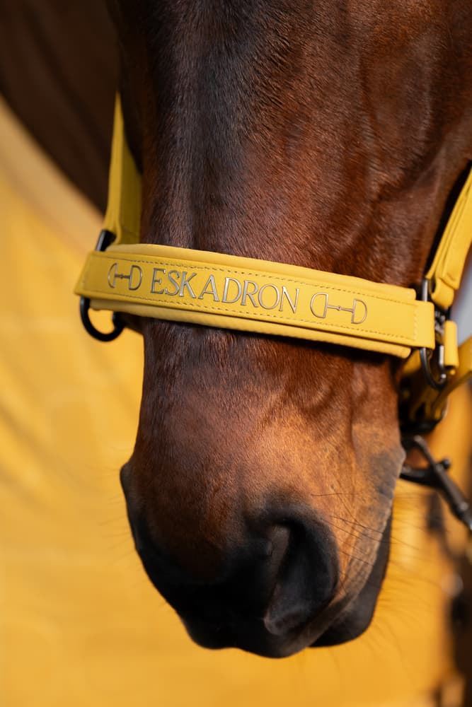 Cabezada cuadra ESKADRON color mostaza logo muserola TALLA COB - Imagen 3