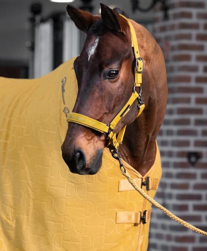 Cabezada cuadra ESKADRON color mostaza logo muserola TALLA COB - Imagen 6