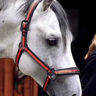 Cabezada cuadra ESKADRON color red poppy/verde/negro logo muserola TALLA FULL - Imagen 1