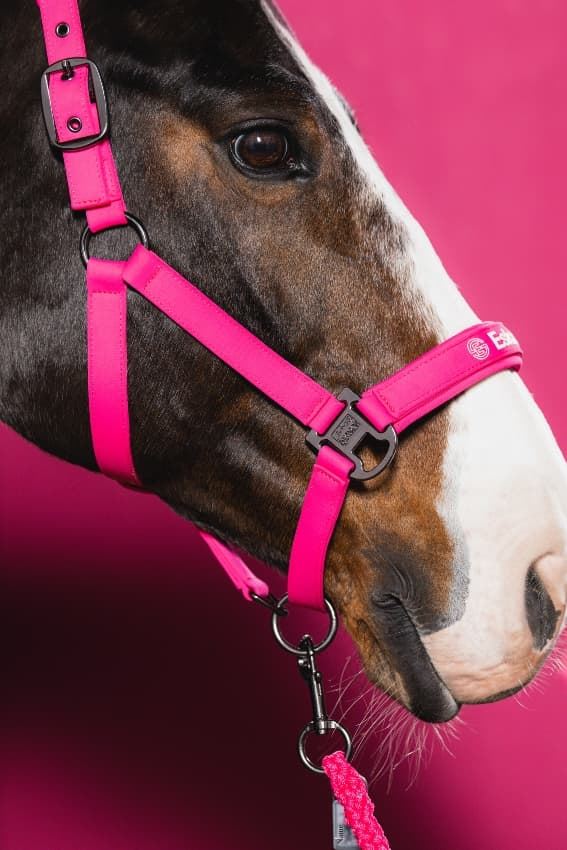 Cabezada cuadra ESKADRON color rosa logo muserola TALLA COB - Imagen 2