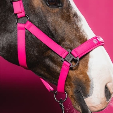 Cabezada cuadra ESKADRON color rosa logo muserola TALLA COB - Imagen 2