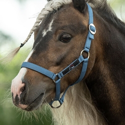 Cabezada cuadra HKM Sports Equipment color azul TALLA MINI SHETTY - Imagen 2