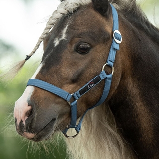 Cabezada cuadra HKM Sports Equipment color azul TALLA MINI SHETTY - Imagen 2