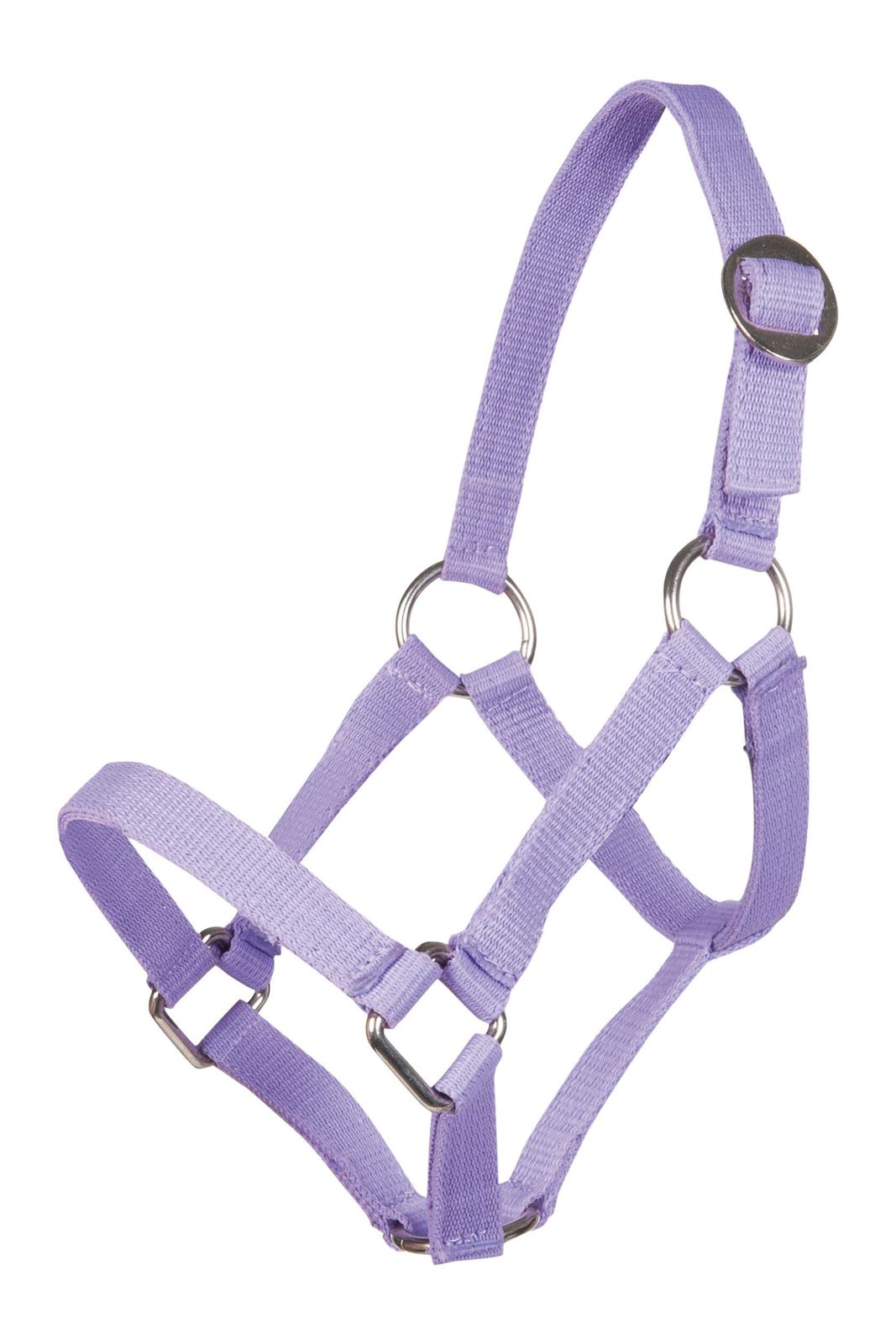 Cabezada cuadra HKM Sports Equipment color lila TALLA MINI SHETTY - Imagen 1