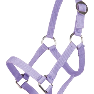 Cabezada cuadra HKM Sports Equipment color lila TALLA MINI SHETTY - Imagen 1