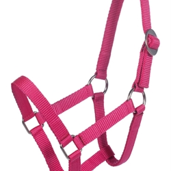 Cabezada cuadra HKM Sports Equipment color rosa fucsia TALLA MINI SHETTY - Imagen 1