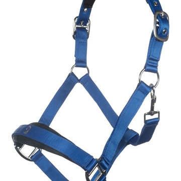 Cabezada cuadra LAURIA GARRELLI Amalfi color azul royal TALLA COB - Imagen 1