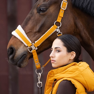 Cabezada cuadra LAURIA GARRELLI Arezzo color mostaza TALLA COB - Imagen 2