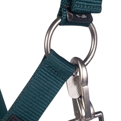 Cabezada cuadra LAURIA GARRELLI color verde TALLA COB - Imagen 2