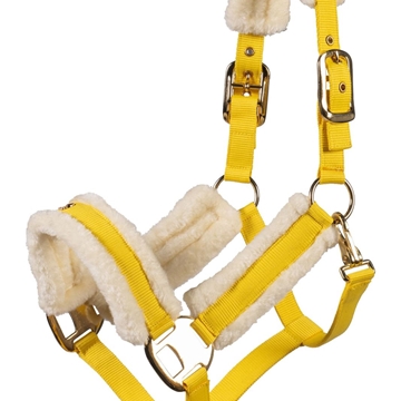 Cabezada cuadra LAURIA GARRELLI Limone Elegant color amarillo TALLA PONY - Imagen 1