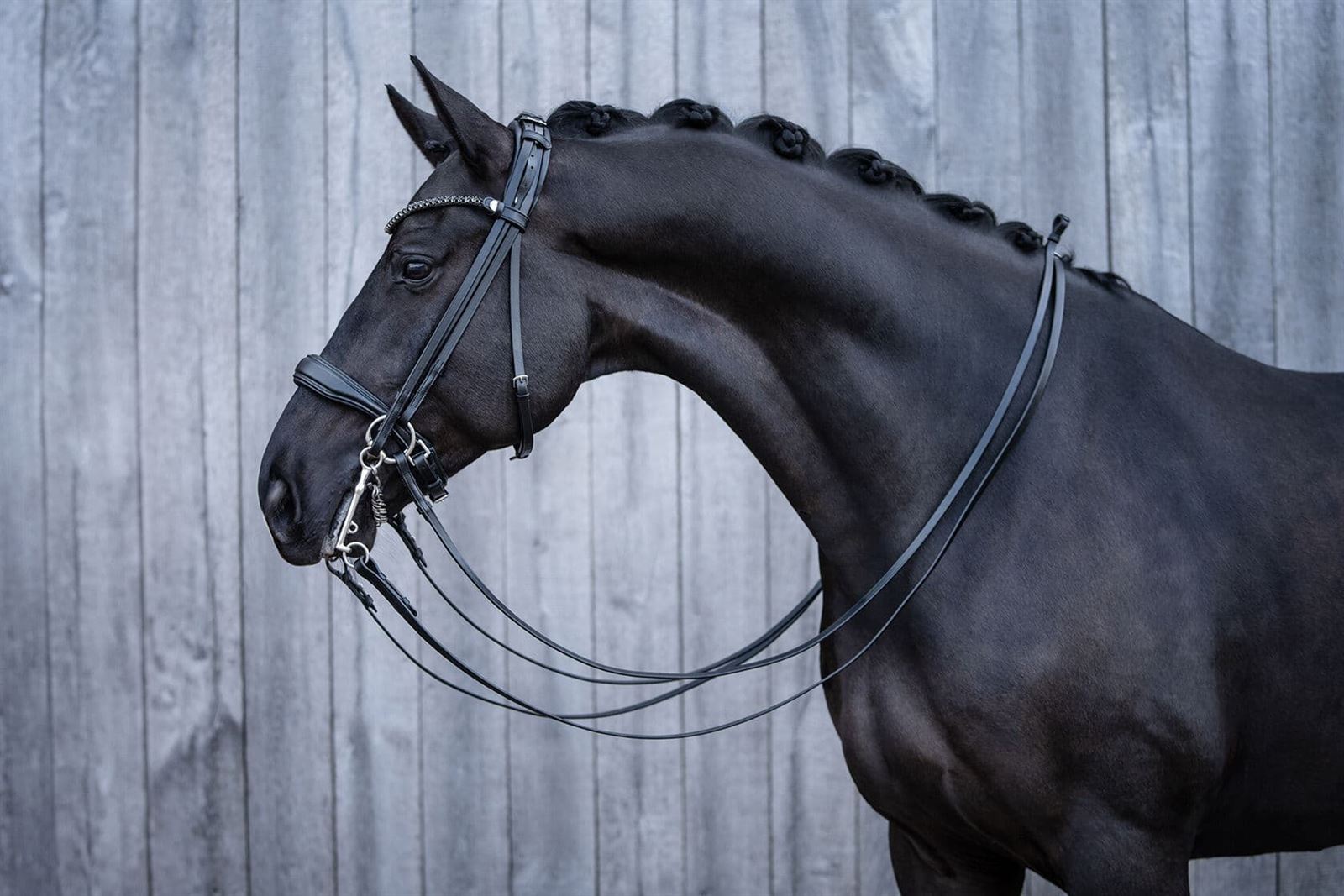 Cabezada de montar de cuero HKM Sports Equipment Grace color negro, DOBLE RIENDA, TALLA COB - Imagen 2