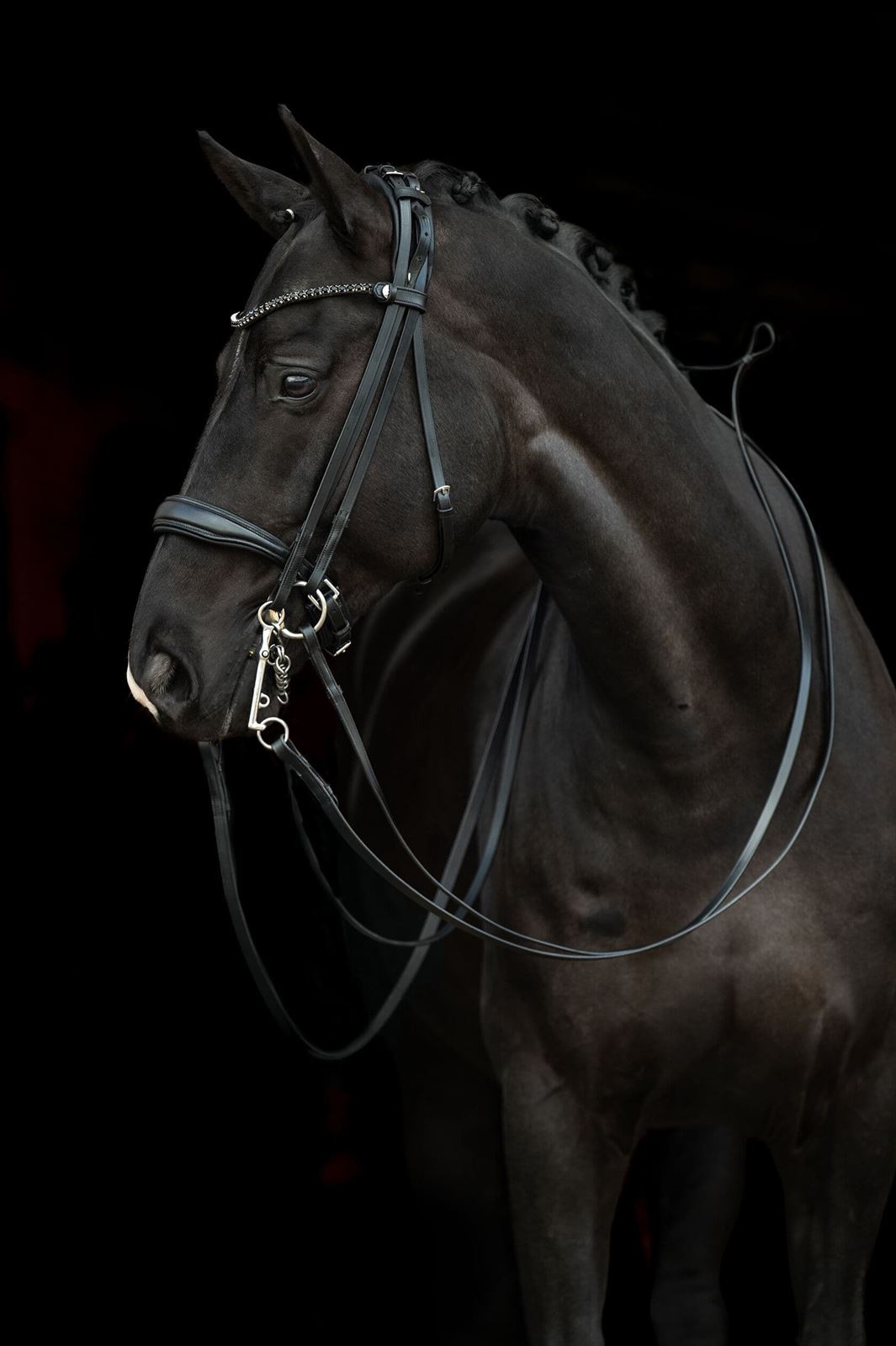 Cabezada de montar de cuero HKM Sports Equipment Grace color negro, DOBLE RIENDA, TALLA COB - Imagen 3