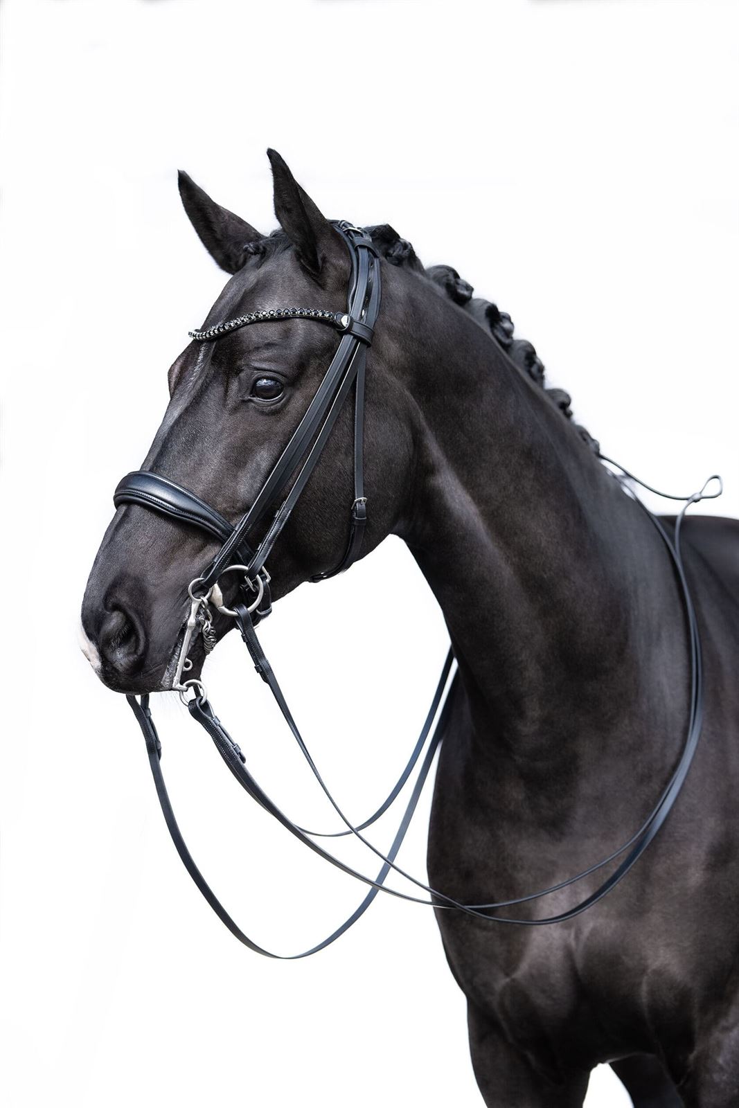 Cabezada de montar de cuero HKM Sports Equipment Grace color negro, DOBLE RIENDA, TALLA COB - Imagen 7