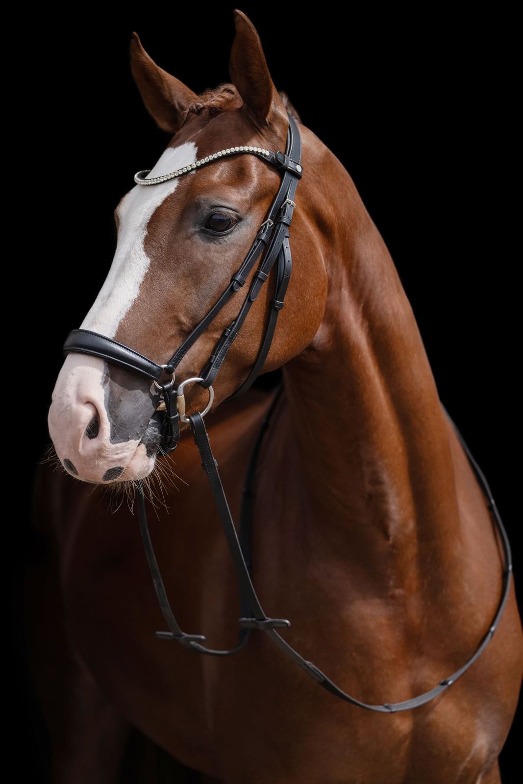 Cabezada de montar de cuero HKM Sports Equipment Nicole MUSEROLA ALEMANA negra TALLA COB - Imagen 2