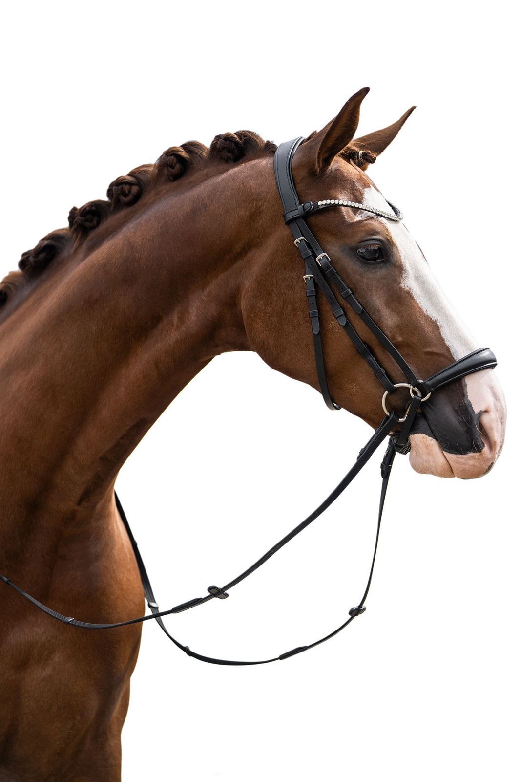 Cabezada de montar de cuero HKM Sports Equipment Nicole MUSEROLA ALEMANA negra TALLA COB - Imagen 4