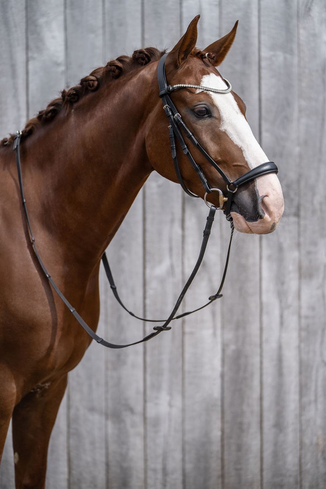 Cabezada de montar de cuero HKM Sports Equipment Nicole MUSEROLA ALEMANA negra TALLA COB - Imagen 5