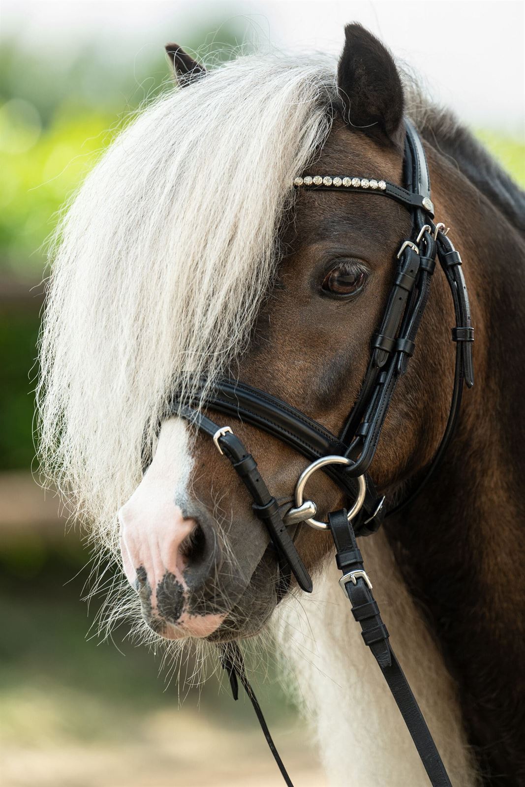 Cabezada montar HKM Shetty Diamond cuero negro - Imagen 3