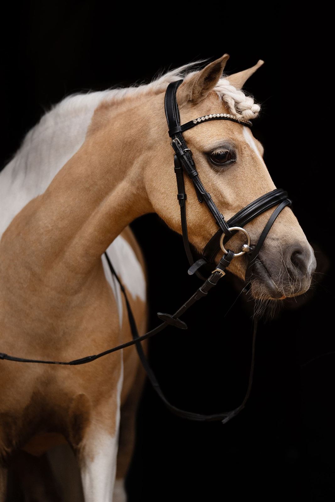 Cabezada montar HKM Shetty Diamond cuero negro - Imagen 4