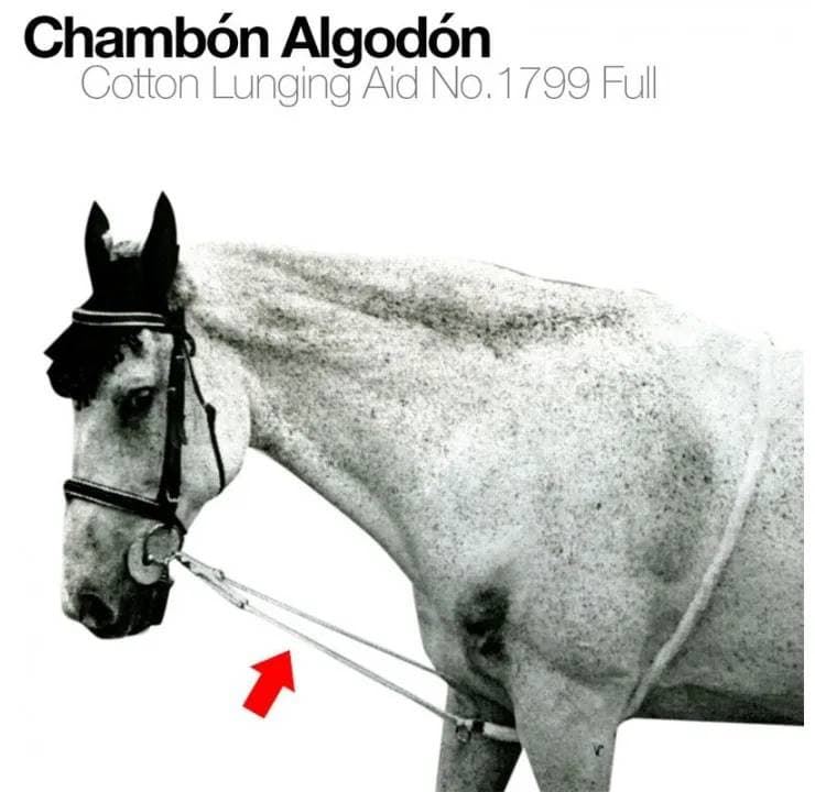 Chambón algodón color blanco - Imagen 1