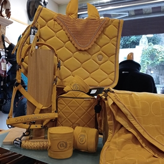 Conjunto ESKADRON mantilla Uso General y orejeras FULL color mostaza con vivo perlas metálicas - Imagen 1