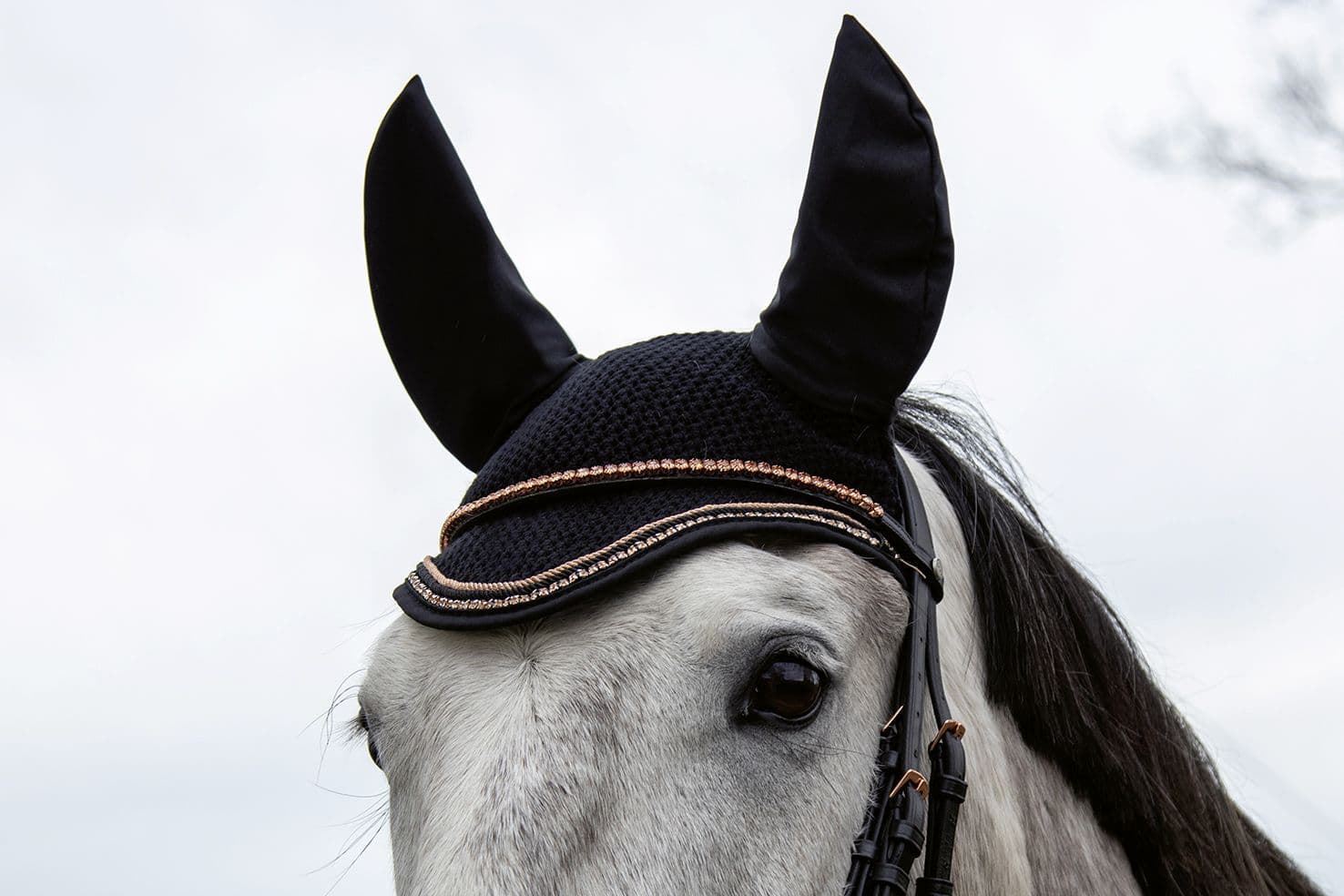 Conjunto HKM Sports Equipment Style Mantilla y Orejeras Rosegold Glamour, color negro/rosegold - Imagen 8