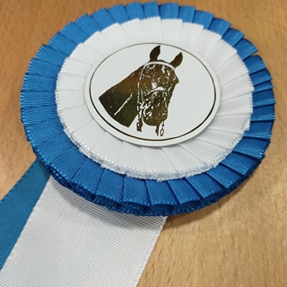 Escarapela de concurso HH con dos bandas de lazo, azul/blanco - Imagen 1