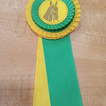 Escarapela de concurso HH con dos bandas de lazo, verde/amarillo - Imagen 2