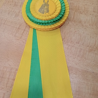 Escarapela de concurso HH con tres bandas de lazo, amarillo/verde/amarillo - Imagen 1