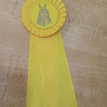 Escarapela de concurso HH con una banda de lazo amarillo - Imagen 1