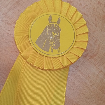 Escarapela de concurso HH con una banda de lazo amarillo - Imagen 2