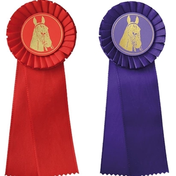 Escarapela de concurso HH con una banda de lazo lila - Imagen 2