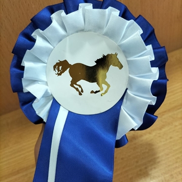 Escarapela de concurso HKM con dos bandas de lazo, azul/blanco - Imagen 1