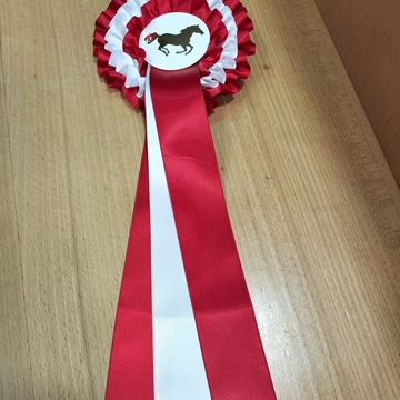 Escarapela de concurso HKM con tres bandas de lazo, rojo/blanco/rojo - Imagen 2