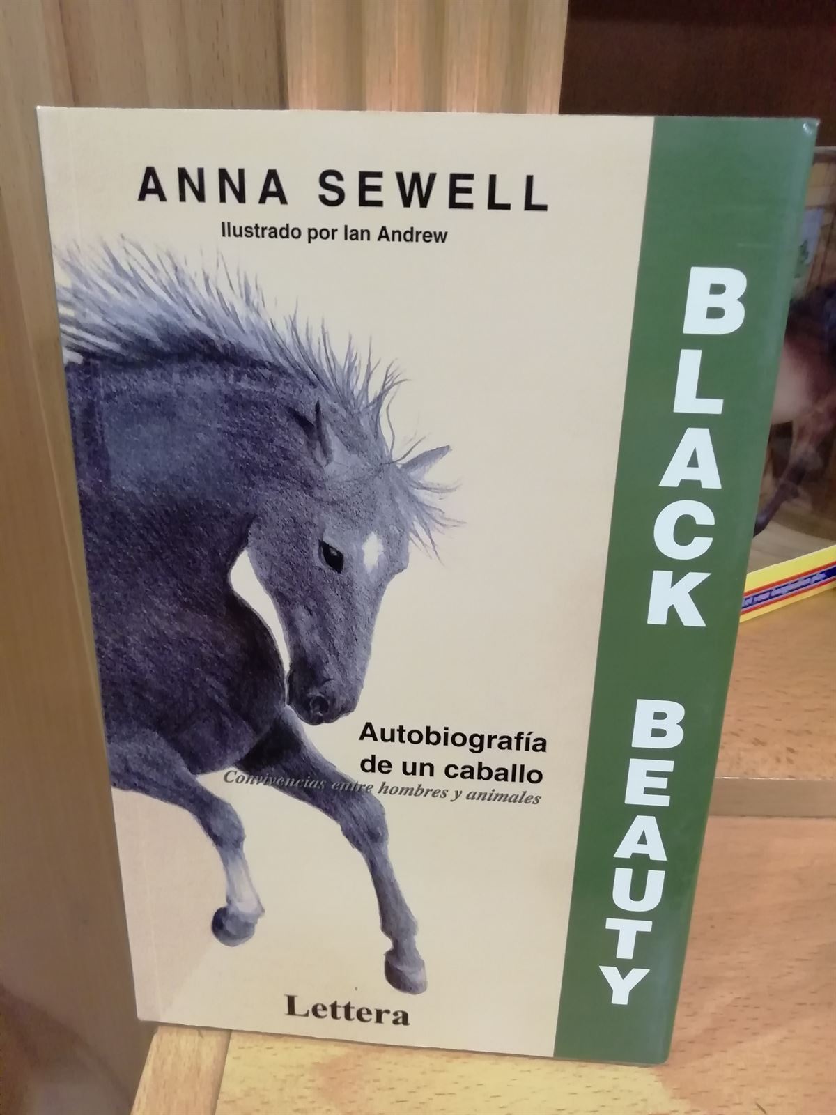 LIBRO: Black Beauty - Imagen 1