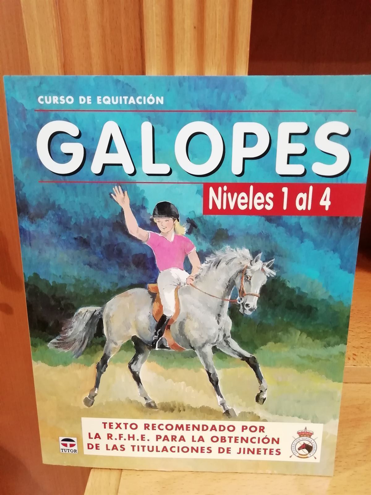 LIBRO: GALOPES, NIVELES 1 AL 4 - Imagen 1