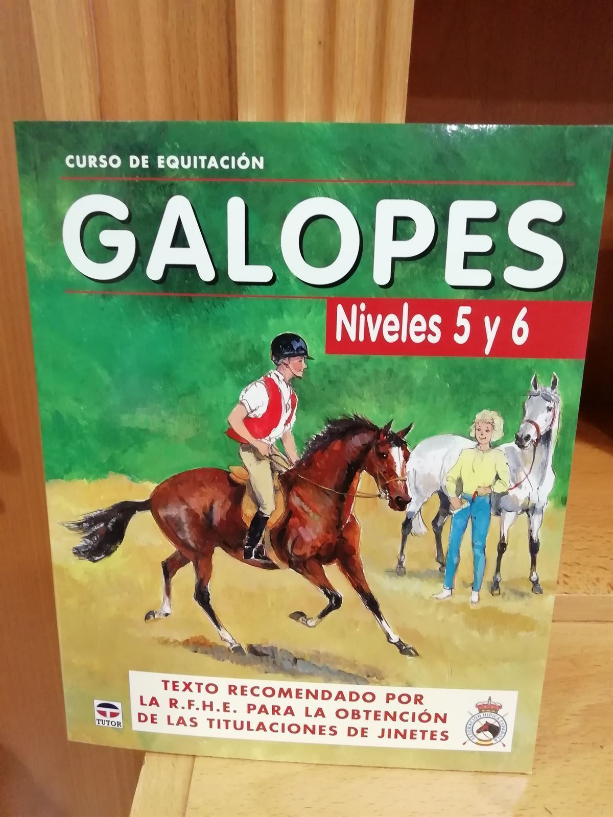 LIBRO: GALOPES, NIVELES 5 Y 6 - Imagen 1