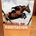 LIBRO: Manual de equitación. Guía completa para montar caballos y ponis - Imagen 1