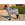 Manta antimoscas HKM color cebra, con cuello, talla 135 - Imagen 2