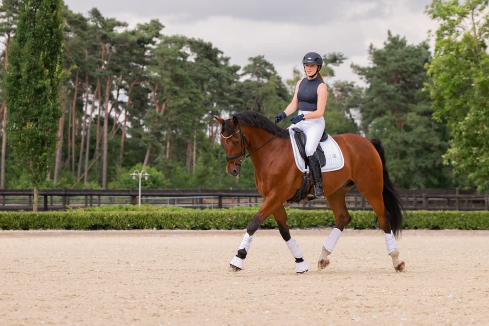 Mantilla ESKADRON DOMA color blanco con vivo cristales plata - Imagen 2