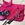 Mantilla HKM Sports Equipment Charly, USO GENERAL, color rosa fucsia - Imagen 1