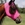 Máscara antimoscas PROFESSIONAL´S CHOICE comfort fit, con orejas, color rosa flúor, talla COB - Imagen 1