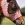 Máscara antimoscas PROFESSIONAL´S CHOICE comfort fit, con orejas, ladybug talla COB - Imagen 1