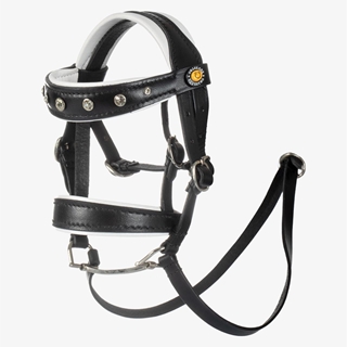 PONY BUDDY EQUESTRO cabezada de montar con riendas y filete - Imagen 1