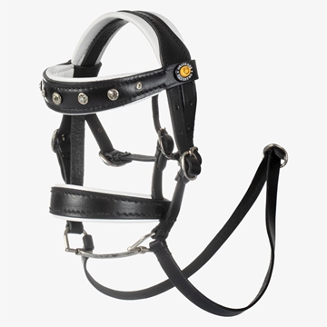 PONY BUDDY EQUESTRO cabezada de montar con riendas y filete - Imagen 1