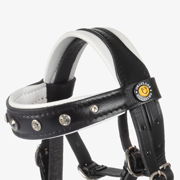 PONY BUDDY EQUESTRO cabezada de montar con riendas y filete - Imagen 2