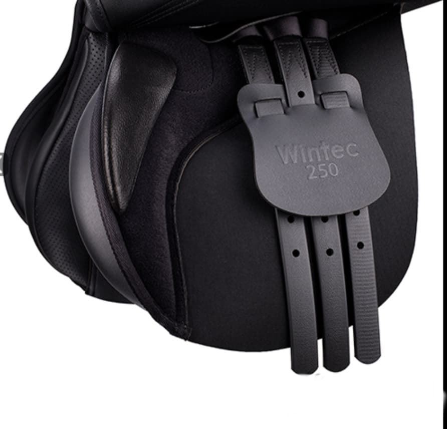 Silla uso general sintética WINTEC 250 NEW, color negro, 18" - Imagen 2