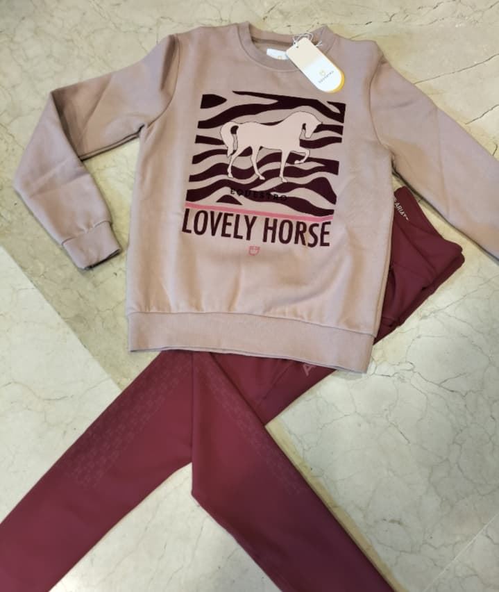 Sudadera EQUESTRO Lovely Horse color rosa empolvado TALLA S - Imagen 4